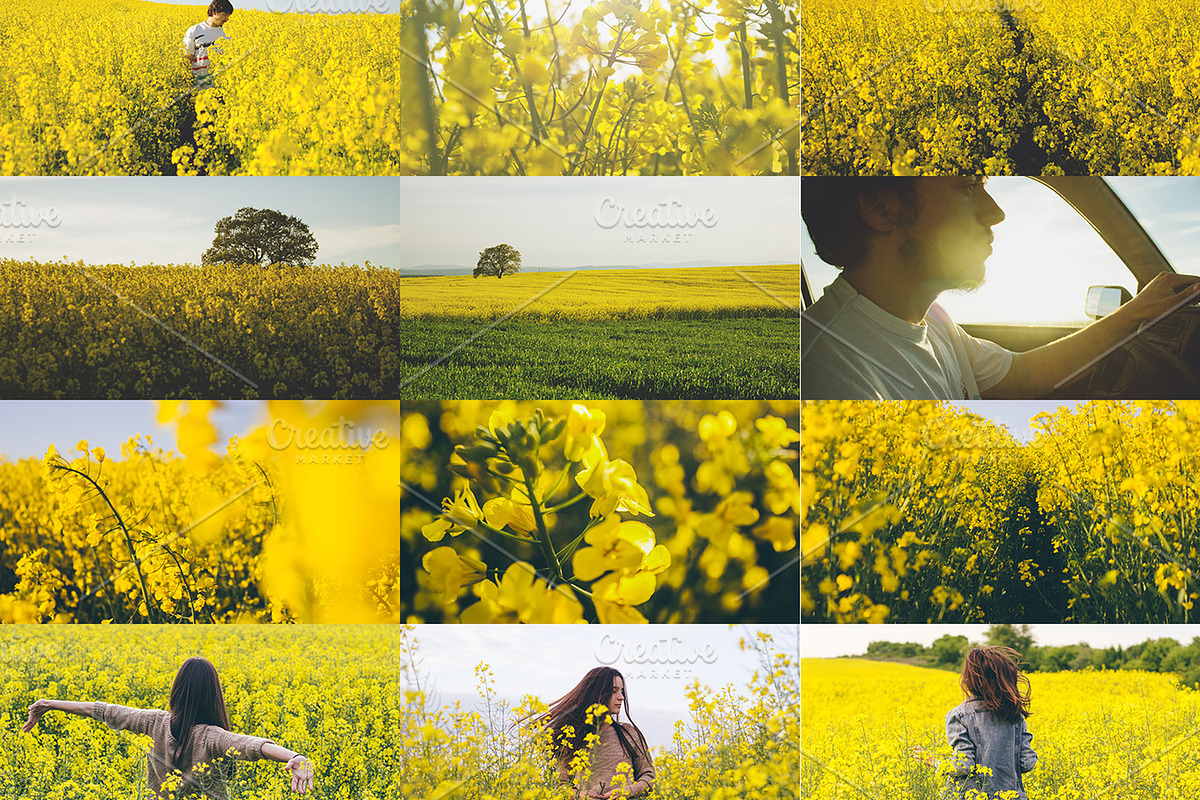 Rapeseed fields photo bundle, a Nature Photo by Mukuko Studio (Photo 2 of 5)