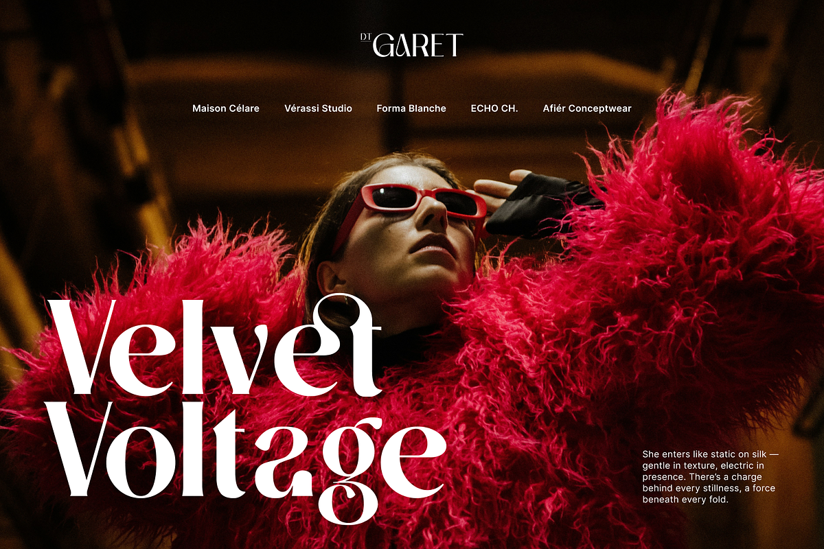 DT Garet – Luxury Serif Typeface, a Font by Diztinct Type (Photo 11 of 12)