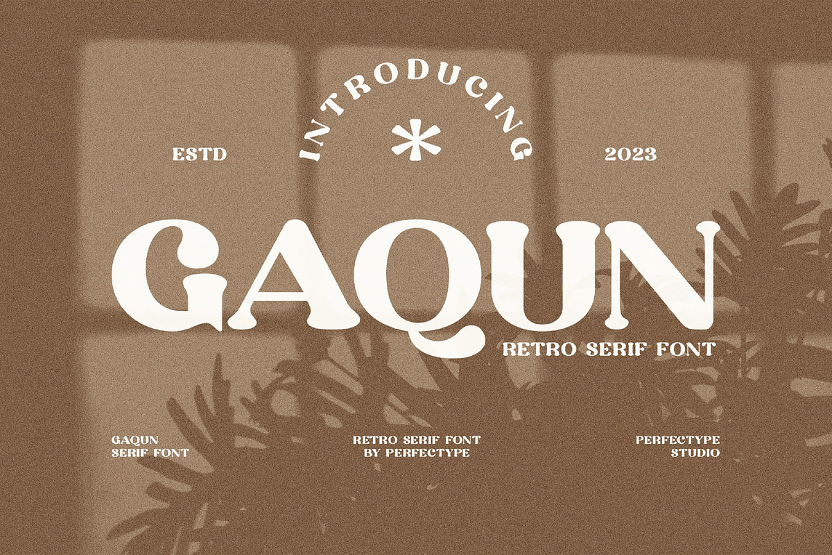 Gaqun Serif Font, a Serif Font by Perfectype (Photo 1 of 10)