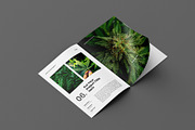 Botanic Portfolio Brochure Layout, a Magazine Template by Seeing-art (Thumbnail 8 of 11)