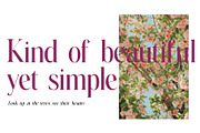 Cale | A beautiful serif font, a Serif Font by Supersimbo © (Thumbnail 3 of 9)