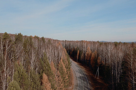 Curve asphalt road with cars between autumn forest in Ural