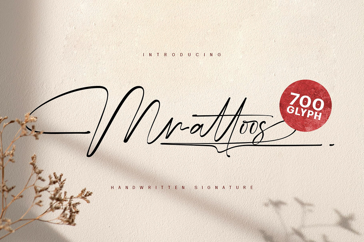 Mrattoos Signature Script Font, a Script Font by alit design (Photo 1 of 15)