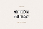 Alistera, a Serif Font by Cruzine (Thumbnail 8 of 8)