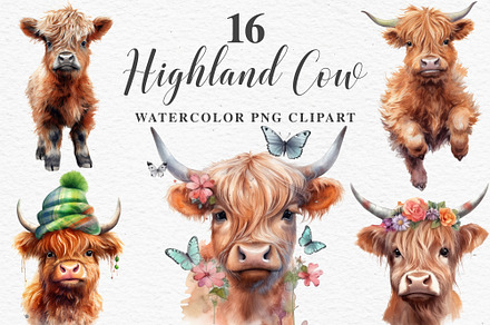 Baby Highland Cow Watercolor Clipart | Animal Illustrations ~ Creative ...