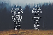 Wonderland Fonts Pack & Branding Kit, a Script Font by Graphicdome (Thumbnail 110 of 118)