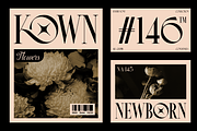 Arose - Elegant Serif Typeface, a Serif Font by MaikoHatta (Thumbnail 5 of 8)