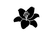 Black Lily Flower Vector Bundle, an Illustration by Designs_River (Thumbnail 15 of 51)