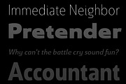 Savigny, a Sans Serif Font by insigne (Thumbnail 3 of 4)