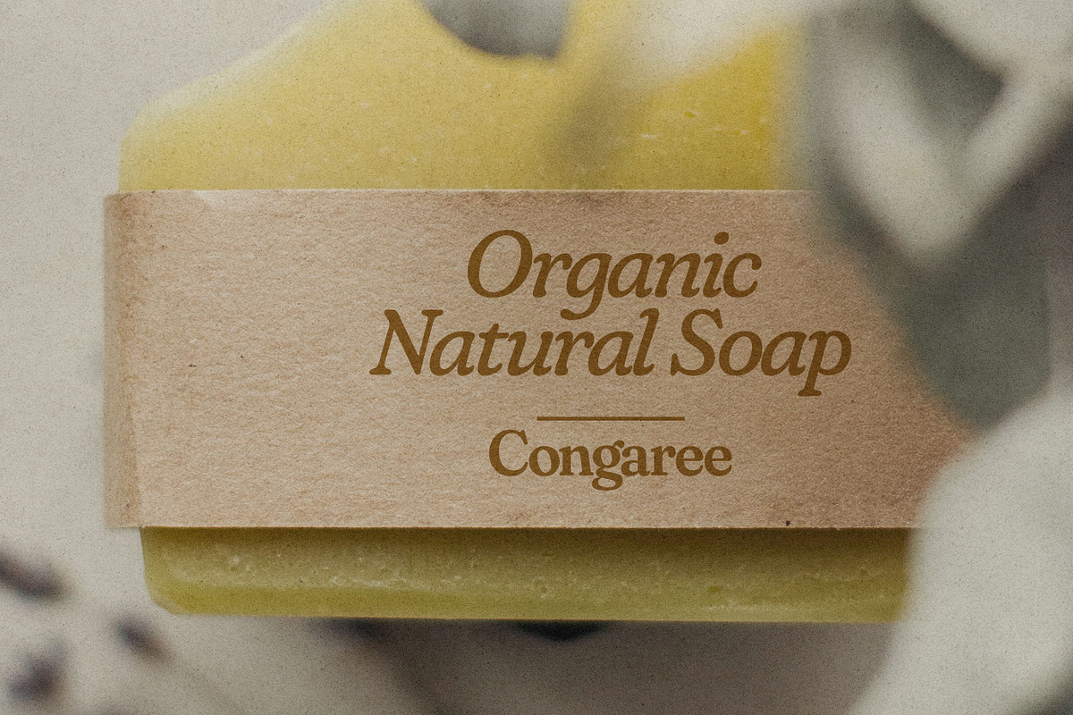 Janelle | Soft Serif Font, a Serif Font by Sombrero Craft (Photo 7 of 13)