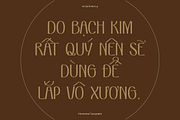 VEN - Display Typeface, a Font by Dat Do (Thumbnail 9 of 25)