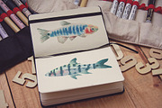 Aquarium Fishes Watercolor Clipart, an Animal Illustration by Catherine Wheel (Thumbnail 7 of 10)