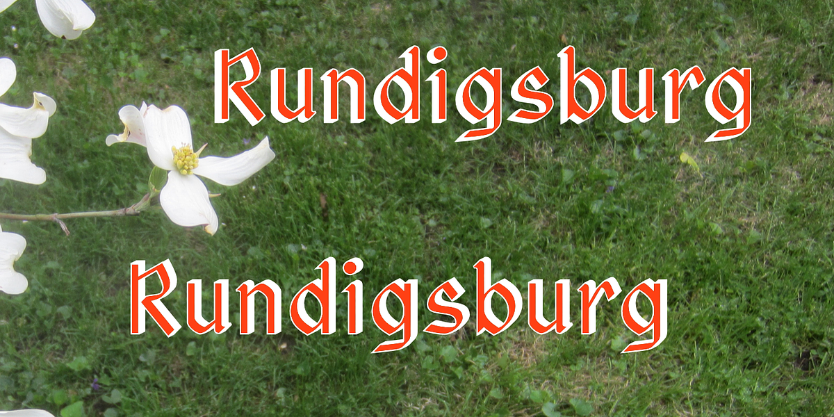 Rundigsburg, a Sans Serif Font by Ingrimayne Type (Photo 1 of 10)
