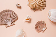 Coral Stock Photo & Mockup Bundle, a Product Mockup by Moyo Studio (Thumbnail 12 of 12)