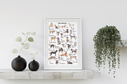 Dogs Alphabet, clipart & patterns, an Animal Illustration by Visual Animal (Thumbnail 8 of 8)