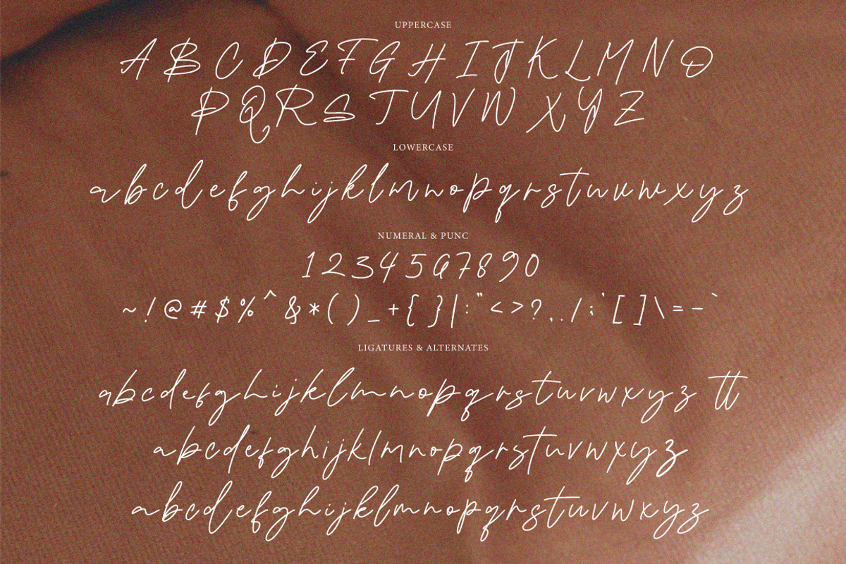 Bristian - Handwritten Signature, a Handwritten Font by tebaltipislab (Photo 7 of 9)