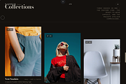 Vasseur Paris Fashion Template, a HTML Template by DigitalsDesigns (Thumbnail 5 of 7)