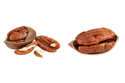 broken pecan nut isolated on white, a Food & Drink Photo by NataPhoto