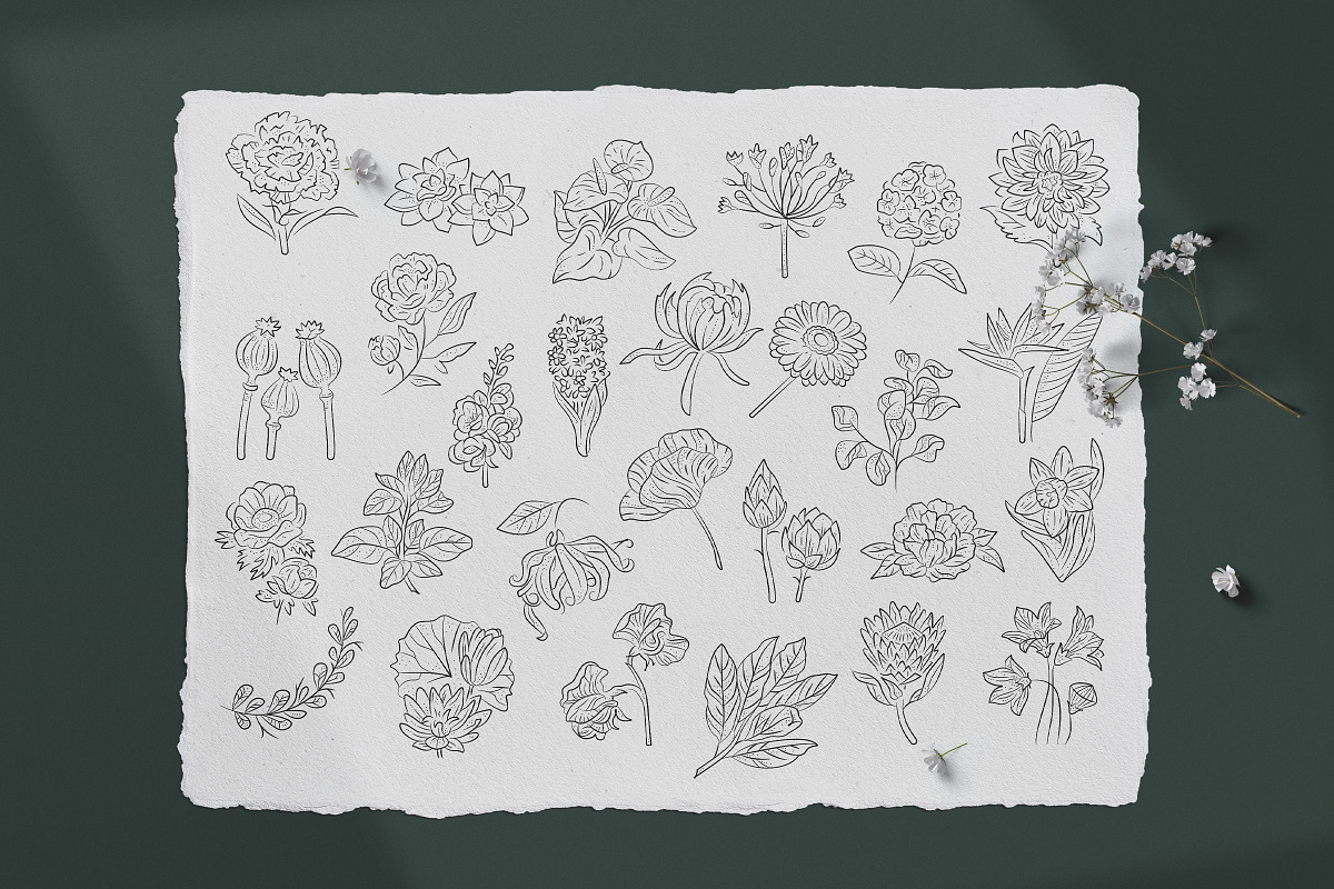 Floral Illustration Set, a Decorative Illustration by iStar Design (Photo 7 of 13)