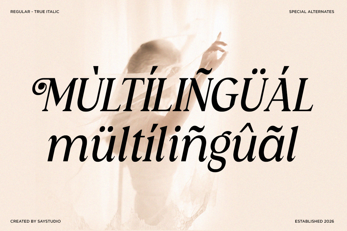 Harvellia - Luxury Magazine Serif, a Serif Font by Say Studio (Photo 10 of 10)