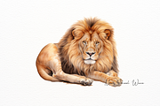 Powerful African Lion Watercolor, an Animal Illustration by New-School-Wave (Thumbnail 4 of 5)