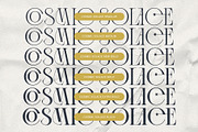 Cosmic Solace - Ligature Typeface, a Serif Font by SilverStag Type Foundry (Thumbnail 16 of 30)