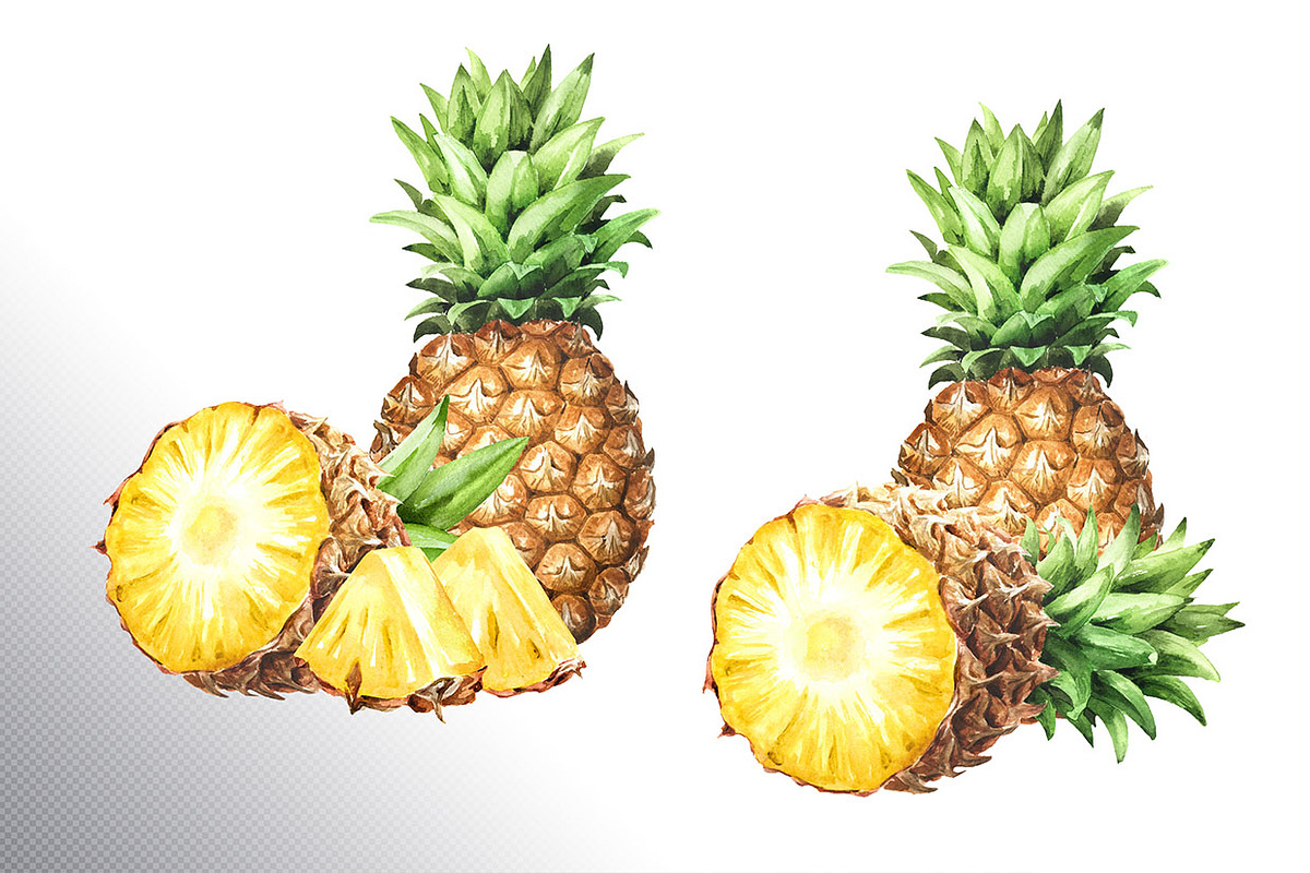 Tropical Pineapple. Hand painted, a Food Illustration by Daria Ustiugova (Photo 5 of 28)