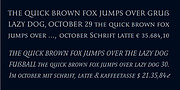 Romis, a Serif Font by Finaltype (Thumbnail 3 of 22)