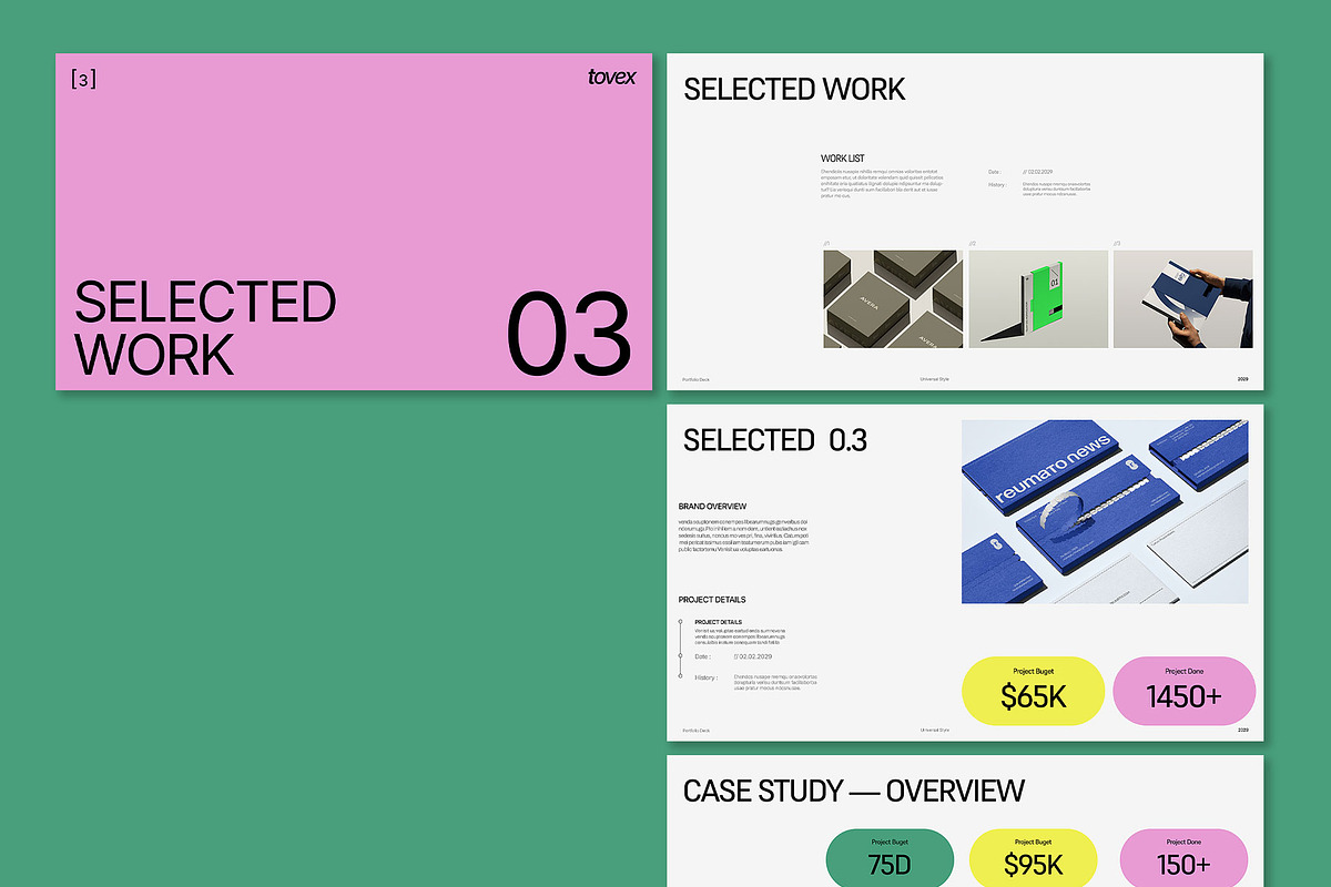 Universal Portoflio Template, a Presentation Template by Templeste (Photo 5 of 6)