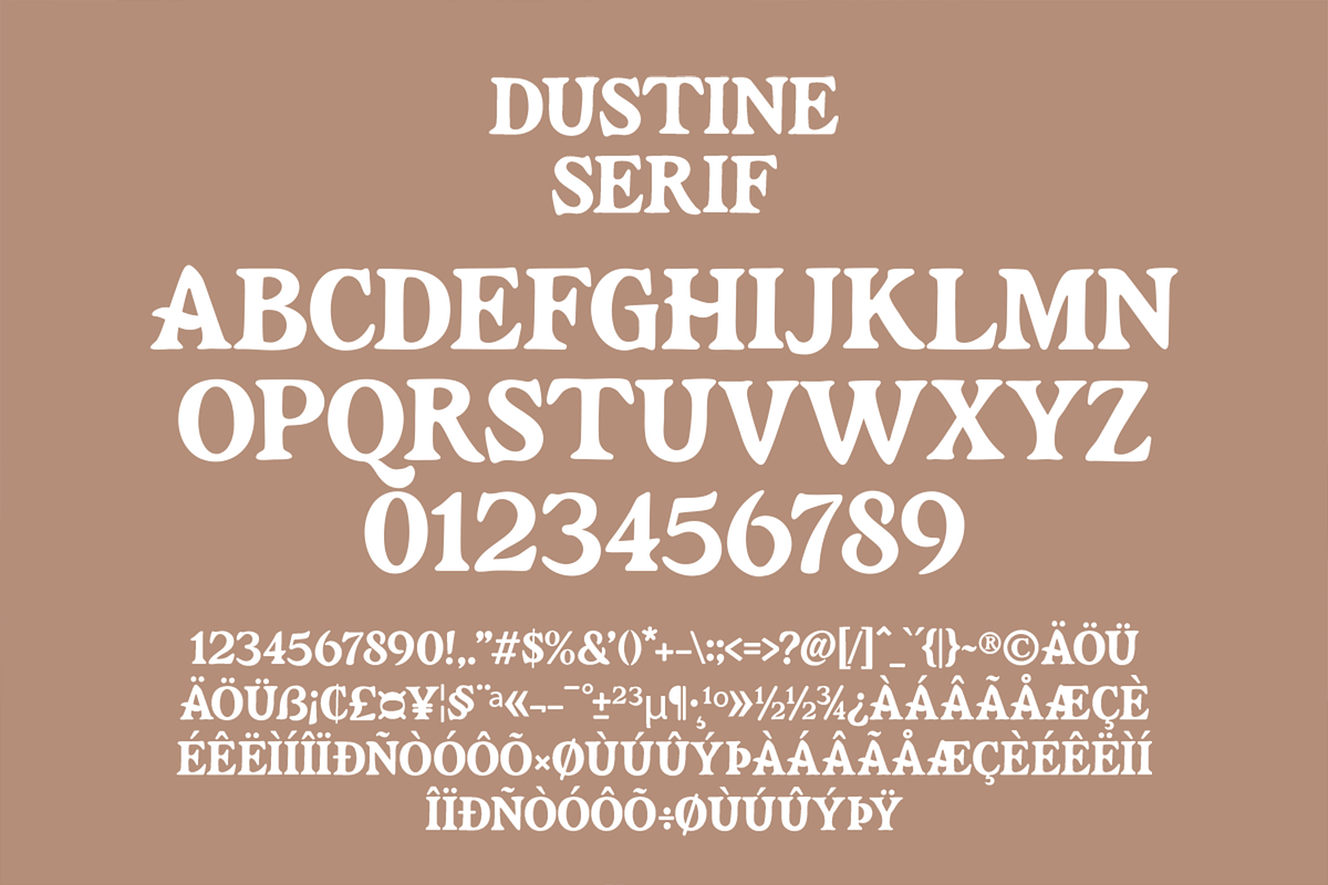 Dustine Font Duo – Serif and Script, a Script Font by overlaytemplates (Photo 4 of 5)