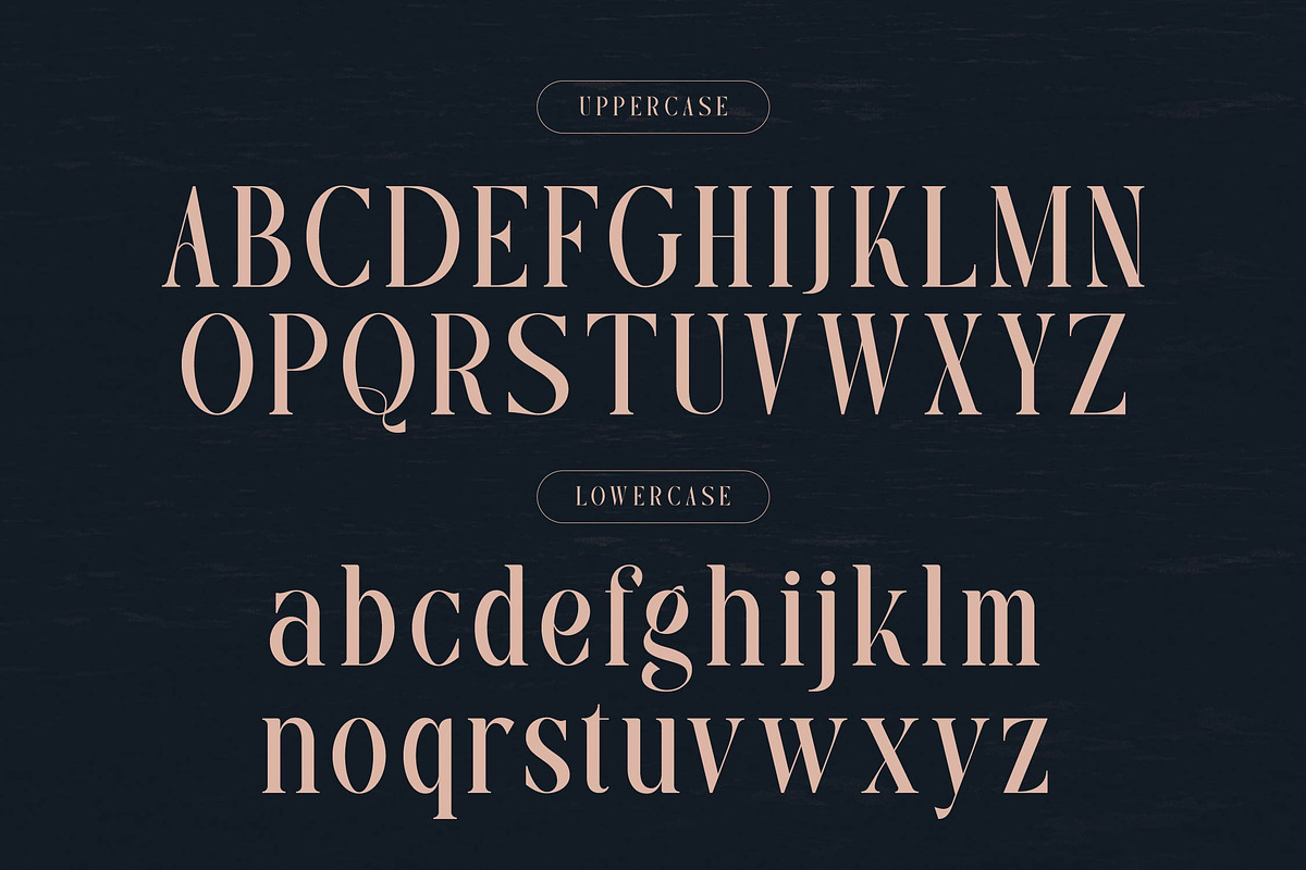 Rasmien | Elegant Serif Font, a Serif Font by Denustudios (Photo 10 of 13)