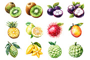 Tropical Fruit Clipart, an Illustration by Design Market (Thumbnail 3 of 3)