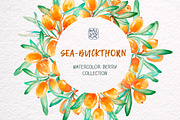 Sea-buckthorn, watercolor collection, an Illustration by Mallinka (Thumbnail 7 of 11)