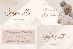 Font Bundles Sale / Monoline Script