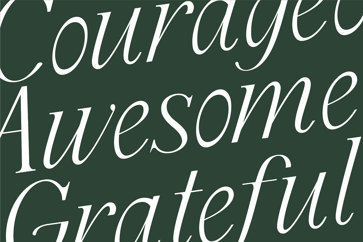 Cedar & Ink Typeface, a Serif Font by aquene (Photo 14 of 16)