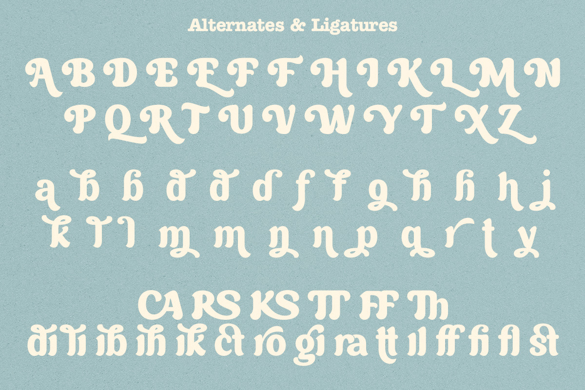 Brown Wager - Chunky Retro Bold Font, a Serif Font by Shakira Studio (Photo 12 of 12)