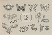 Magic illustration set, an Illustration by Onceli*art (Thumbnail 2 of 11)
