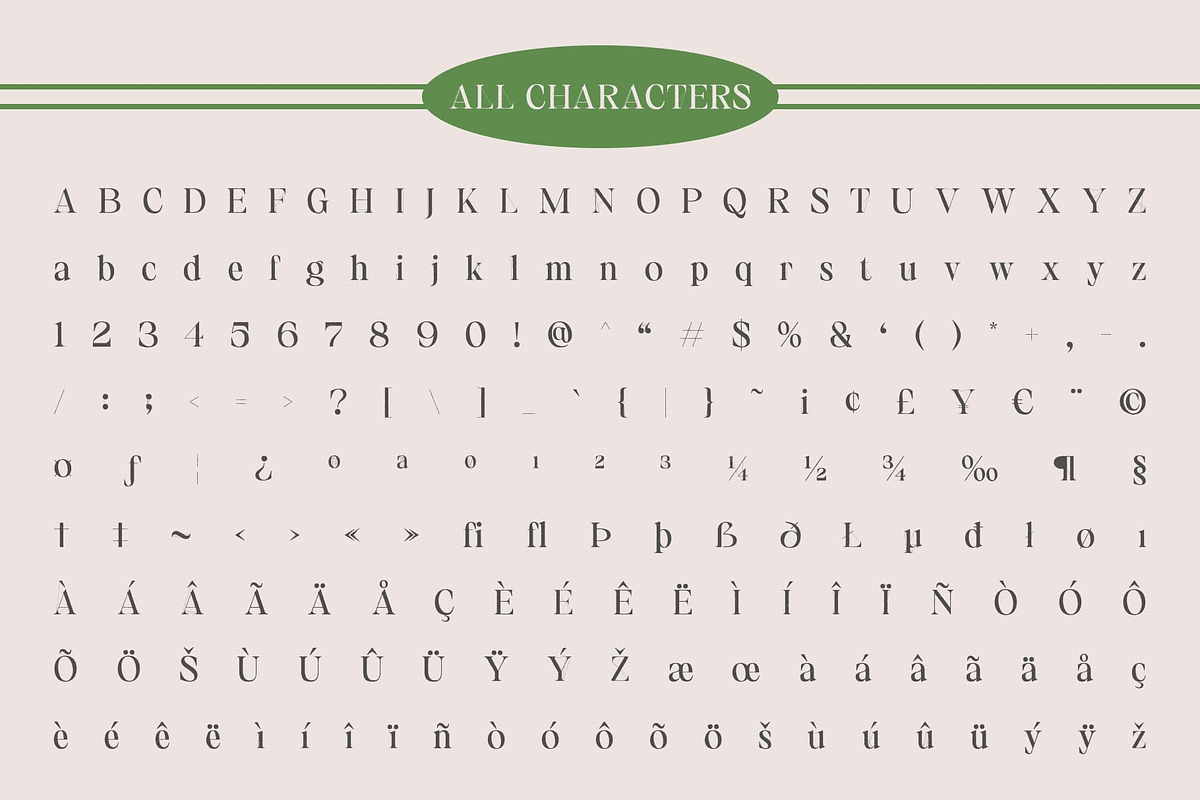 Gamilia Rough, a Serif Font by Craft Supply Co. (Photo 8 of 8)