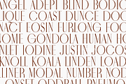Noctaire - Modern Serif, a Serif Font by Sronstudio (Thumbnail 7 of 18)