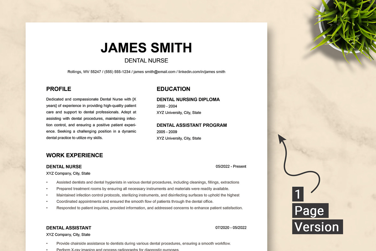 Dental Nurse Resume Template preview 3