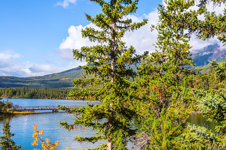 Pyramid Lake among tall firs, a Nature Photo by kavram