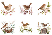 Birds and dunnock Clipart, a Seasonal Illustration by Designking (Thumbnail 4 of 5)