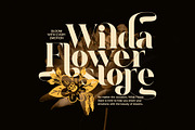 Anika Elegant Display Serif Font, a Serif Font by Graphicxell (Thumbnail 5 of 8)