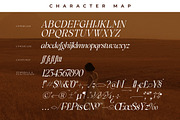 Rowfinde Modern Serif Font, a Serif Font by Storytype Studio (Thumbnail 14 of 15)