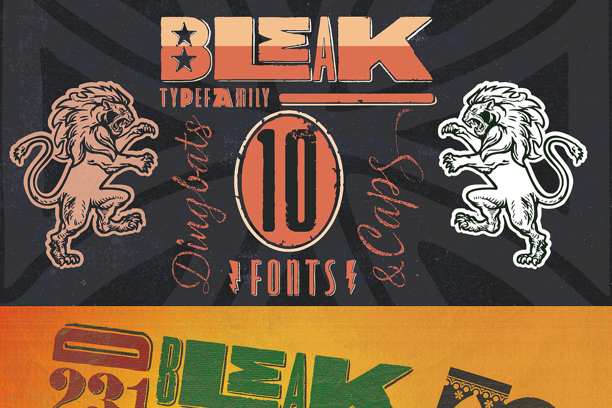 Bleak Type Family / 10 Fonts, a Sans Serif Font by Andinistas Fonts (Photo 9 of 10)
