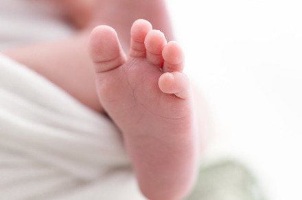 baby feet on white background