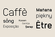 Anodina – Font Family, a Sans Serif Font by Stefano Giliberti (Thumbnail 9 of 10)