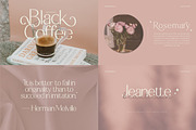 Modern Serif & Sans Serif Bundle, a Serif Font by Flawless And Co (Thumbnail 7 of 12)