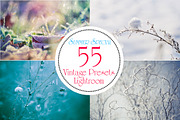 Spezial Bundle 55 LR Vintage Presets, a Plug-in Add-On by Jana Mänz Photography (Thumbnail 4 of 5)