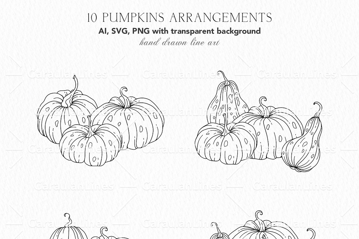 Hand Drawn Pumpkin SVG arrangements, an Object Graphic by CaraulanStore (Photo 3 of 8)